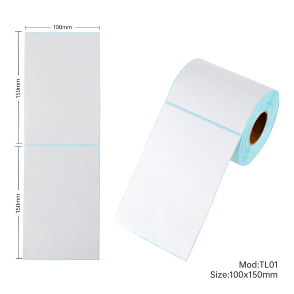 12 Rolls Direct Thermal Address Shipping Label 100mm x 150mm 350pcs/roll