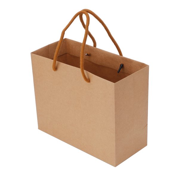 250pcs Kraft Paper Shopping Carry Bag 220×180 + 100mm