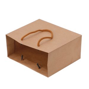 250pcs Kraft Paper Shopping Carry Bag 220×180 + 100mm