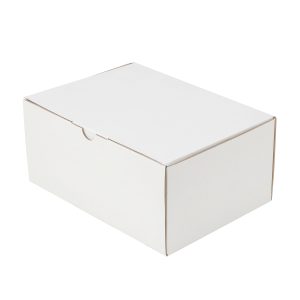 100pcs 220 x 160 x 100mm Diecut Mailing Box White