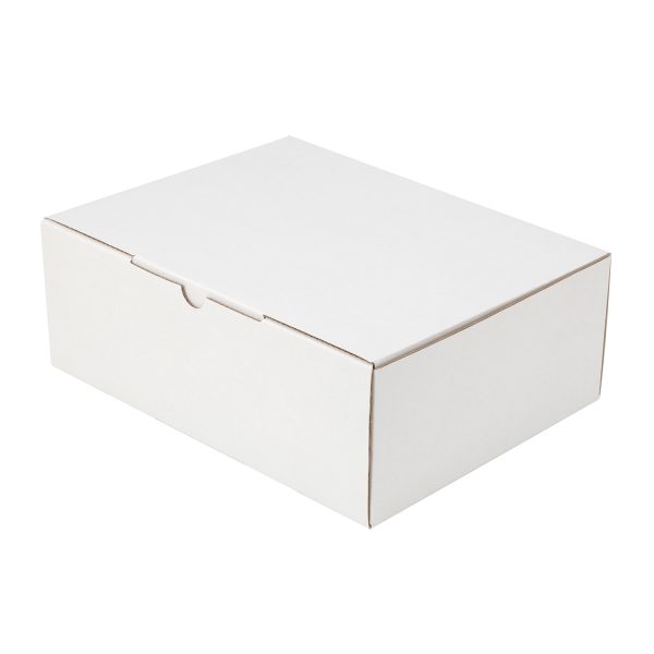 100pcs 250 x 190 x 90mm Diecut Mailing Box White