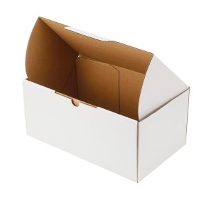 100pcs Diecut 270 x 160 x 120mm Mailing Box White