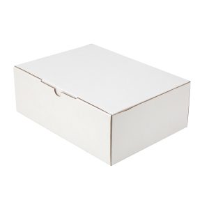 100pcs Diecut 270 x 200 x 95mm Mailing Box White