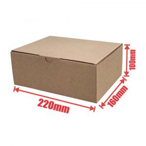 100pcs 220 x 160 x 100mm Diecut Mailing Box Brown Heavy Duty