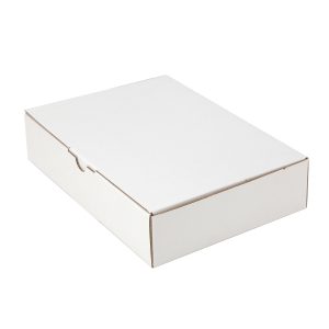 100pcs 220 x 160 x 50mm Diecut Mailing Box White