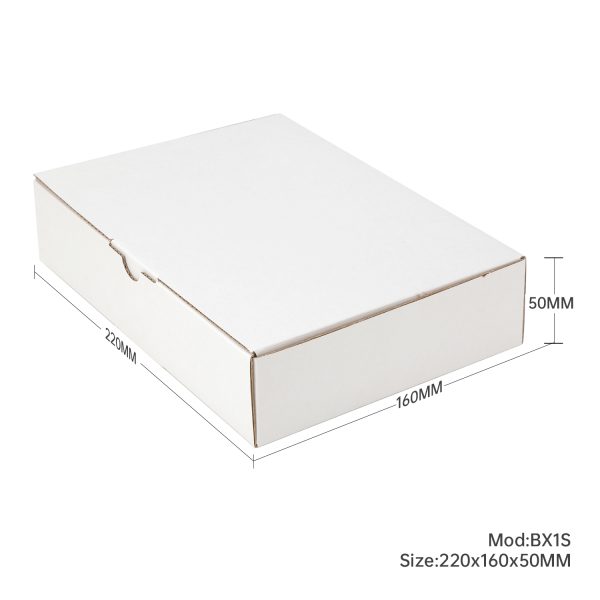 100pcs 220 x 160 x 50mm Diecut Mailing Box White