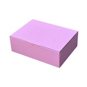 100pcs Full Pink 220 x 160 x 77mm Diecut Mailing Box