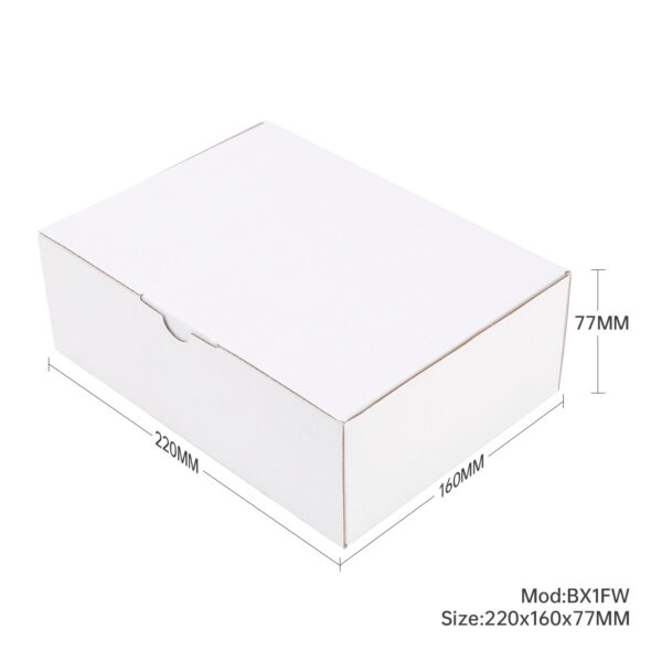 100pcs Full White 220x 160 x 77mm Diecut Mailing Box