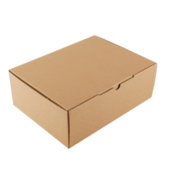 250 x 190 x 90mm Diecut Mailing Box Brown Heavy Duty 100/ctn