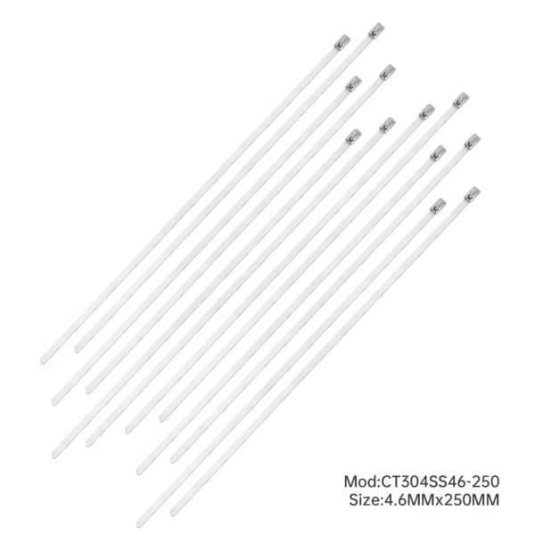 Stainless Steel 304 Cable Ties 4.6 x 250mm -100Piece