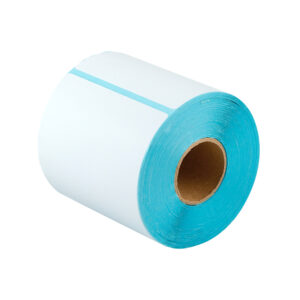 6 Rolls Direct Thermal Address Shipping Label 100x80mm 500pcs/roll