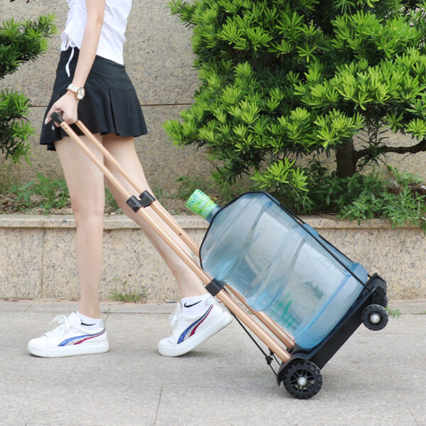 50KG Load Capacity Platform Folding Hand Trolley BLACK